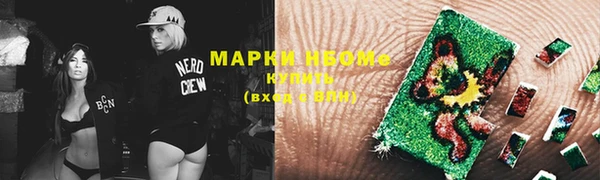 мдпв Протвино