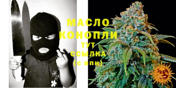 мдпв Протвино