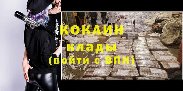 мдпв Протвино