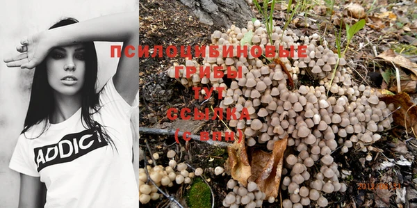 винт Пролетарск