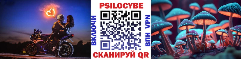 Псилоцибиновые грибы Psilocybine cubensis  Сергач 